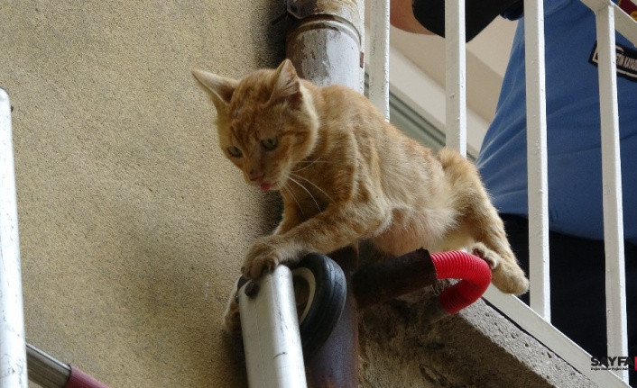 Bursa’da nefes kesen kedi kurtarma operasyonu