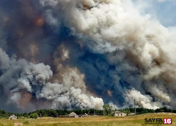 Ukrayna’da orman yangını: 6 ölü, 9 yaralı 