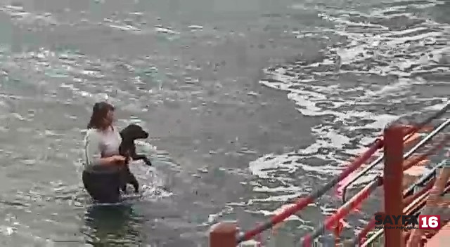 Kıyafetleri ile denize girip köpeği boğulmaktan kurtaran veteriner hekim konuştu: