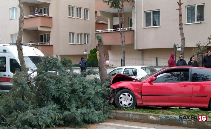 Mudanya'da alkollü sürücü tehlike saçtı
