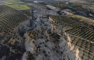 Hatay’daki bir zeytin bahçesi depremlerde ikiye yarıldı